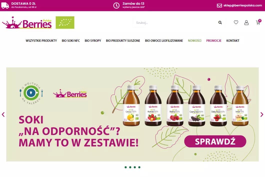 Zrzut ekranu strony